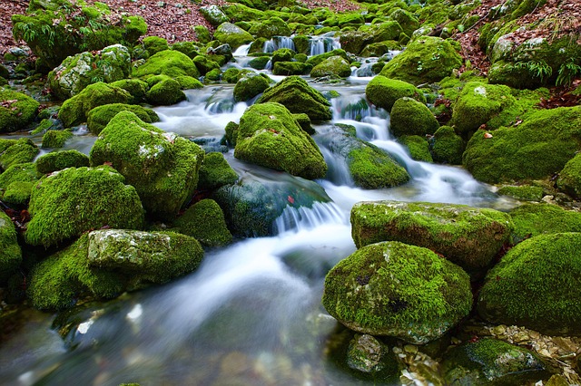 Gestion de l’eau, la base de la survie